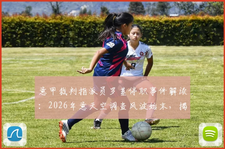 意甲裁判指派员罗基停职事件解读：2026年意天空调查风波始末，揭秘对联赛判罚体系的潜在冲击