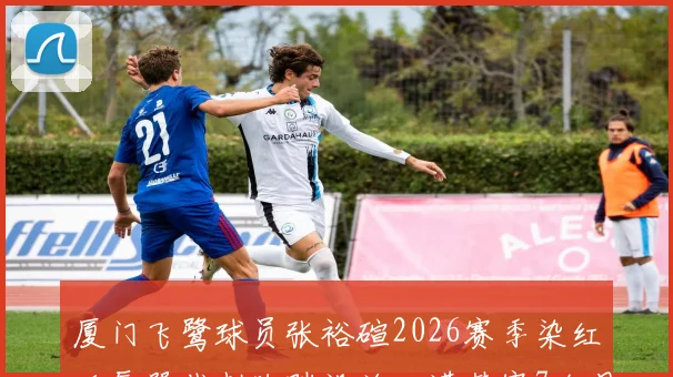 厦门飞鹭球员张裕碹2026赛季染红后辱骂裁判脚踹设施,遭禁赛7个月处罚决定详解
